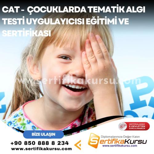 Cat Çocuklarda Tematik Algı Testi Uygulayıcısı Eğitimi Ve Sertifikası