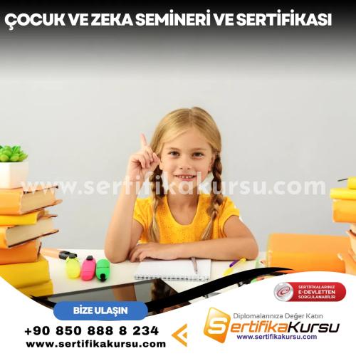 Çocuk Ve Zeka Semineri Ve Sertifikası