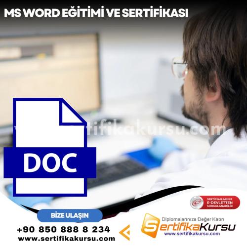 Ms Word Eğitimi Ve Sertifikası