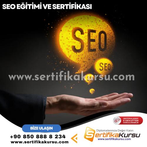 Seo Eğitimi Ve Sertifikası